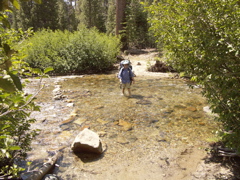 wading across King Creek