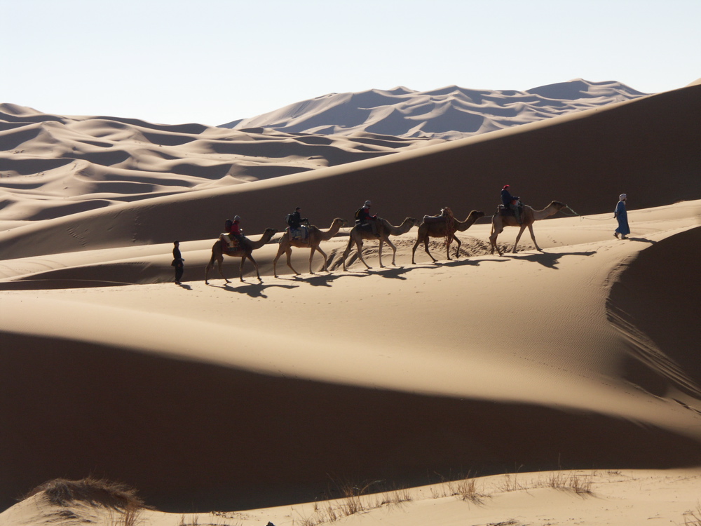 Sahara Caravan