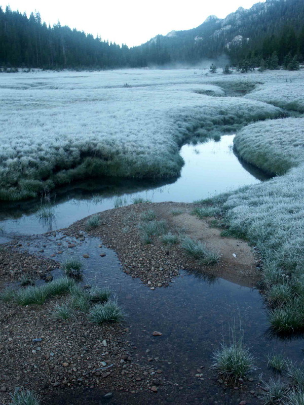 104. Meadow in morning (c.f. #83)