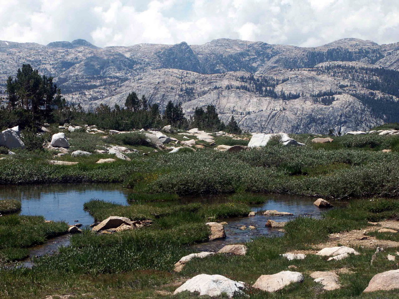  55. Yosemite granite in background