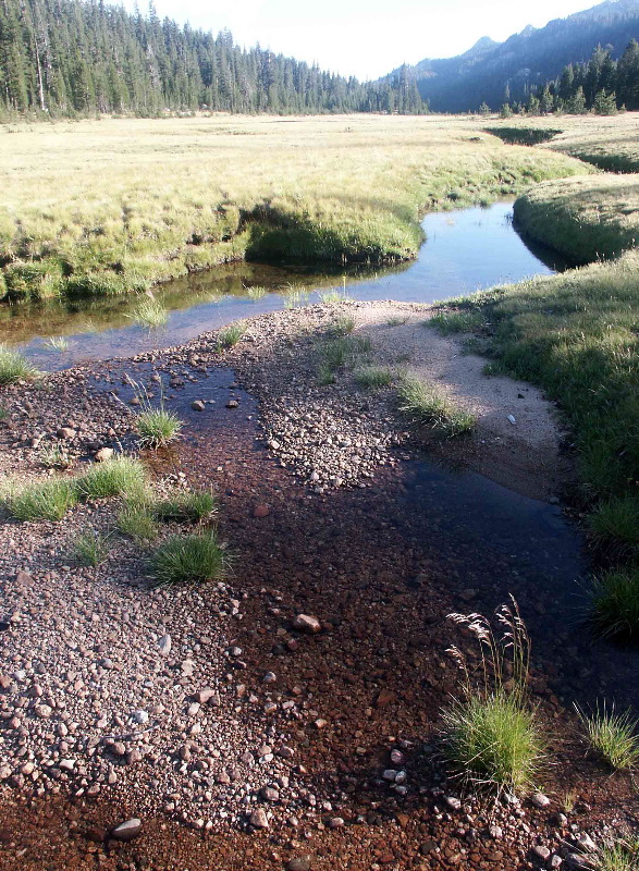  84. Meadow and Stream II