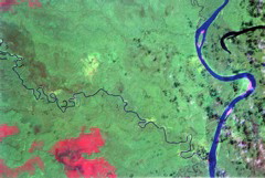 satellite image.JPG
