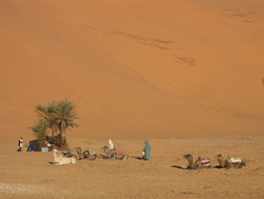 Nomads at a small oasis